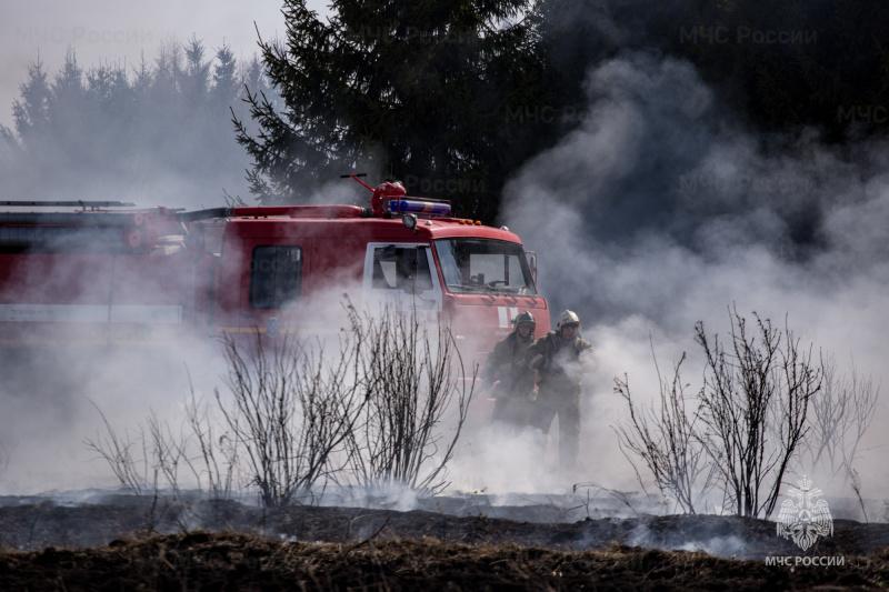 Фото В Новосибирской области особый противопожарный режим продлен до 22 мая 3